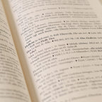 Product image The Big Elvish - Book