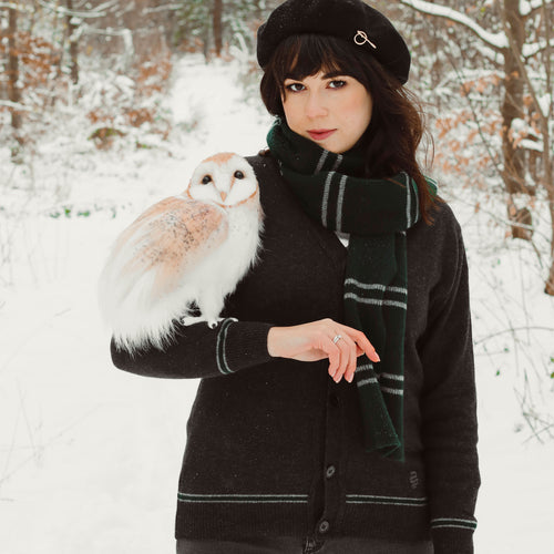 Produktbild Harry Potter - Slytherin Kofta