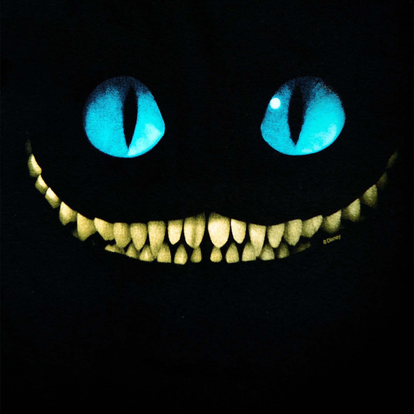 Produktbild Alice i Underlandet - Smiling Cat T-shirt Dam