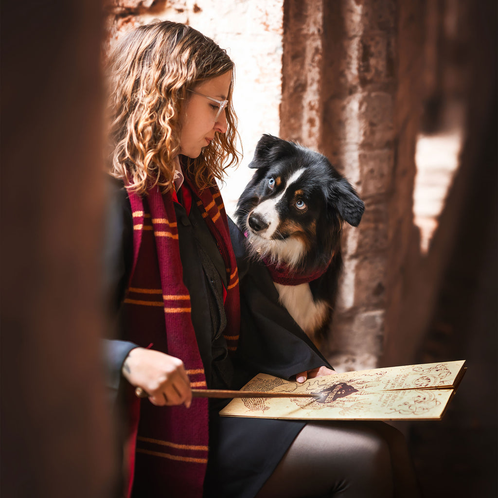 Produktbild Harry Potter - Original Gryffindor Ullhalsduk