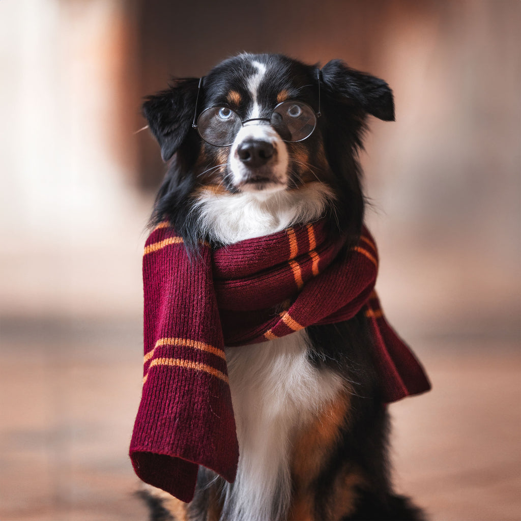 Produktbild Harry Potter - Original Gryffindor Ullhalsduk