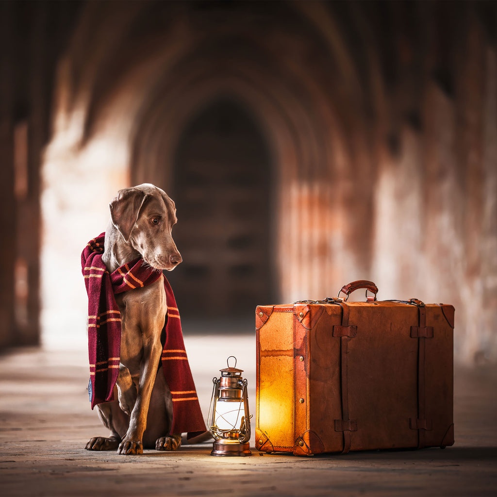 Produktbild Harry Potter - Original Gryffindor Ullhalsduk