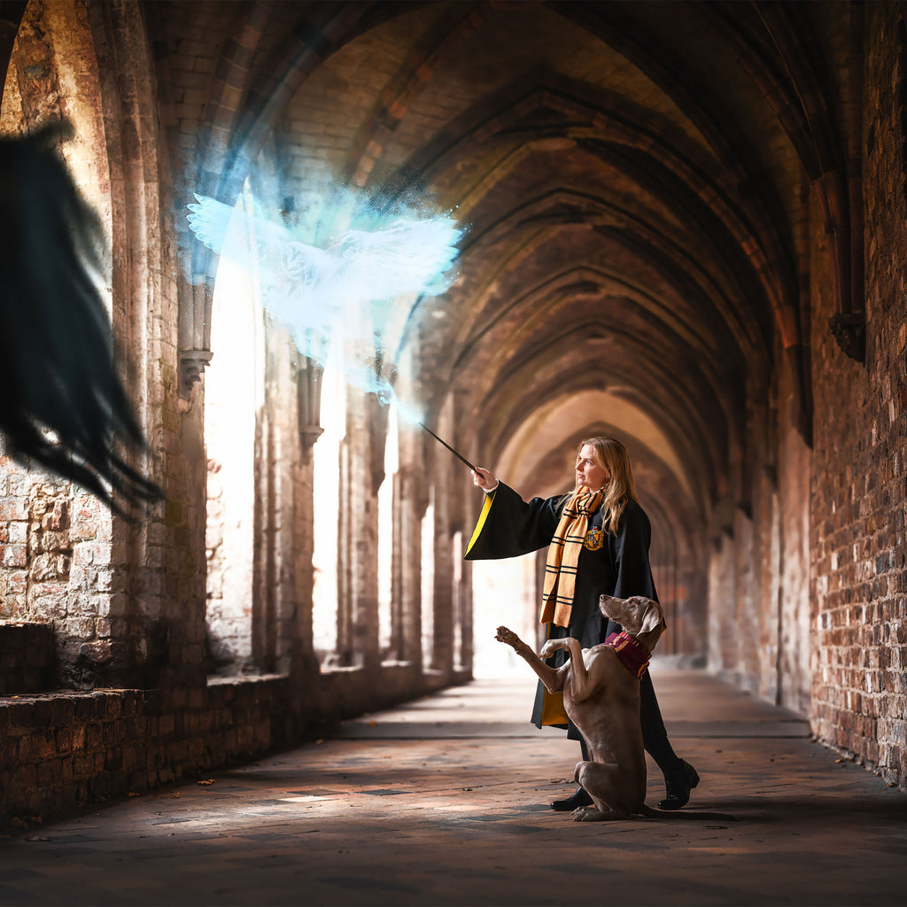 Produktbild Harry Potter - Original Hufflepuff Ullhalsduk