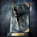 Produktbild Harry Potter - Riddles dagbok med basilisk-tand
