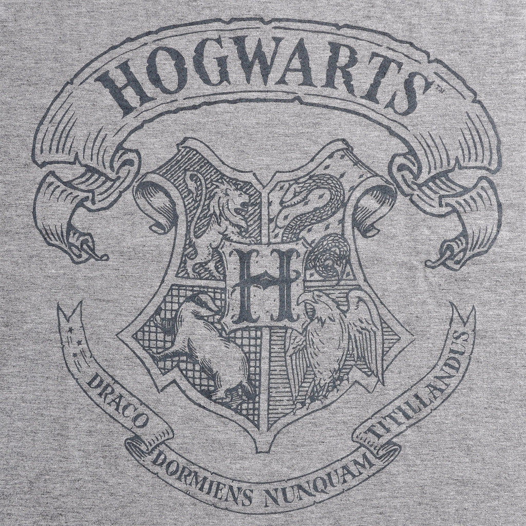 Produktbild Harry Potter - Logo T-shirt grå