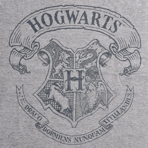 Produktbild Harry Potter - Logo T-shirt grå