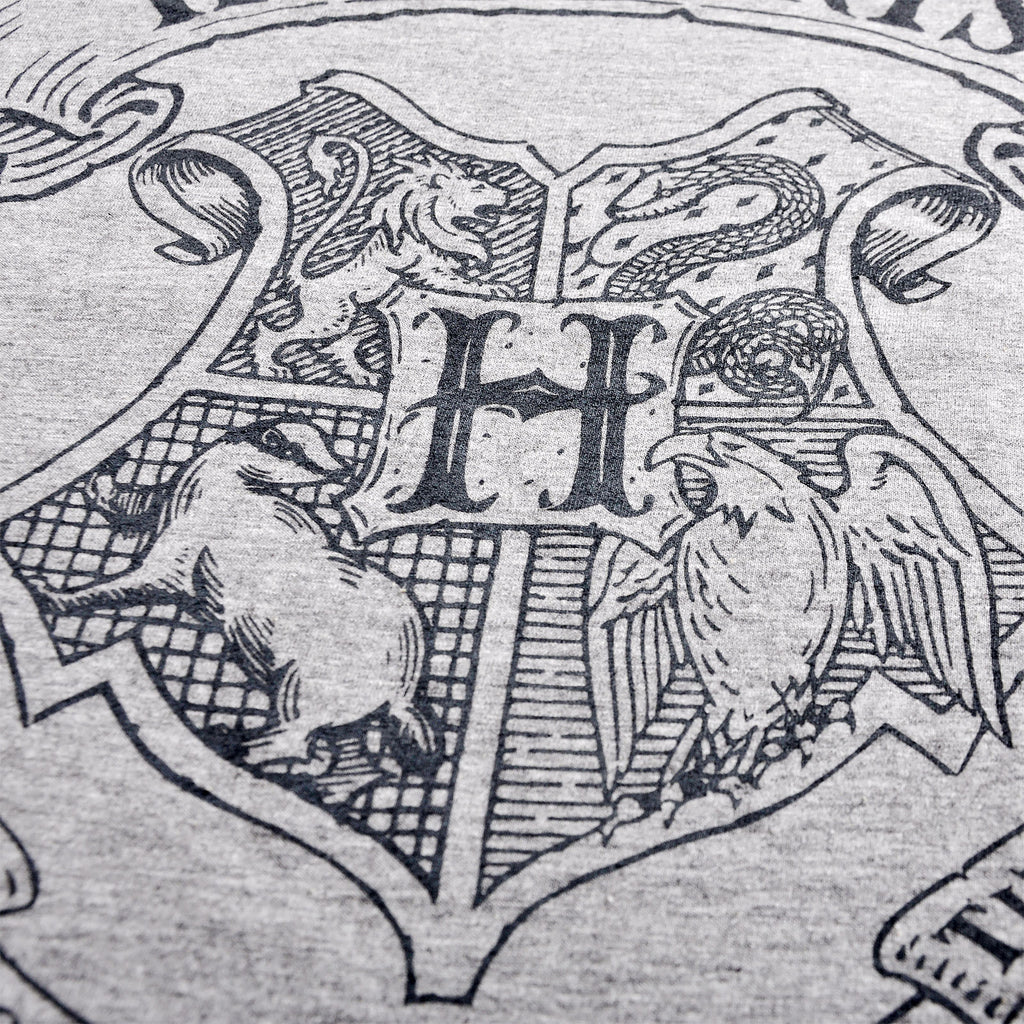 Produktbild Harry Potter - Logo T-shirt grå