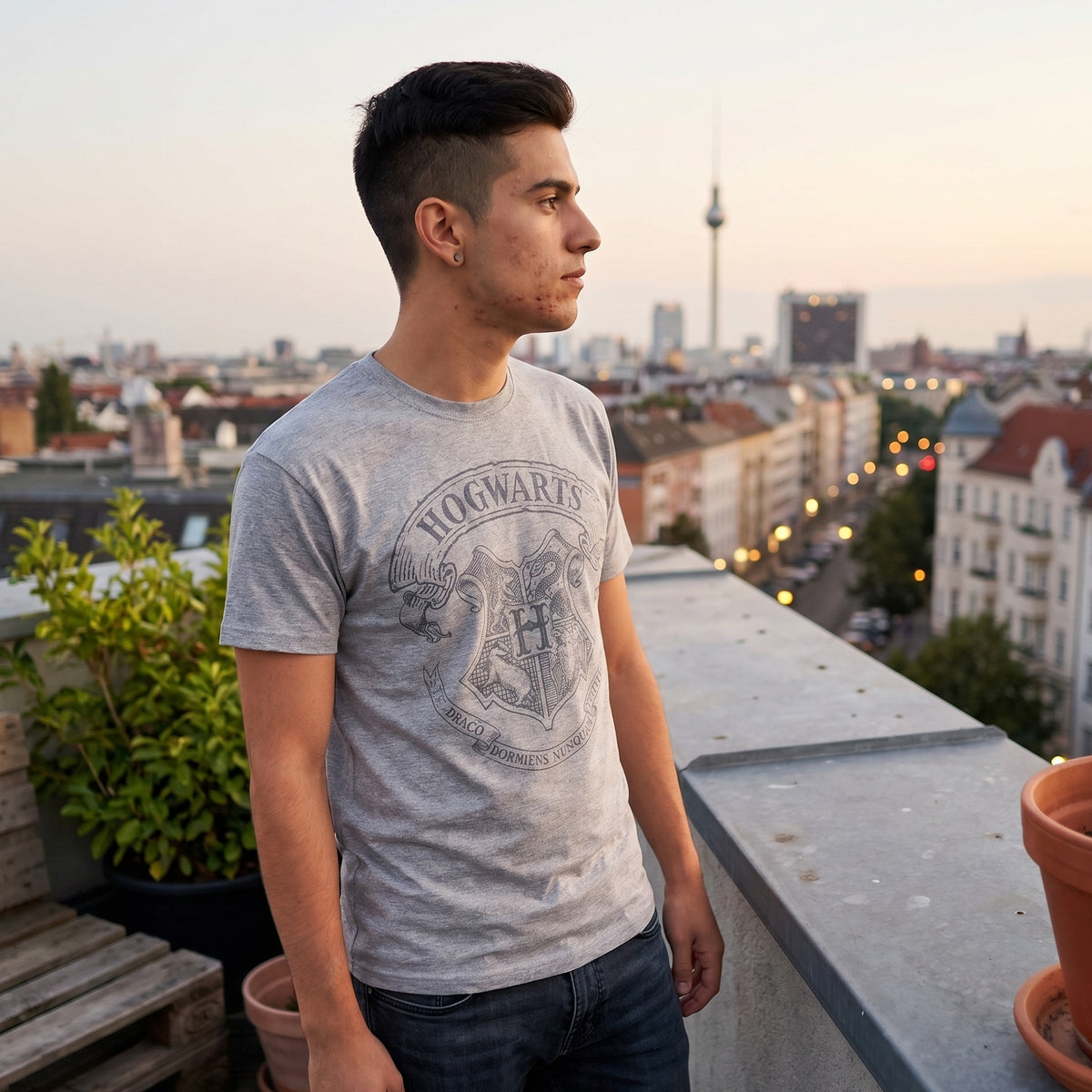 Produktbild Harry Potter - Logo T-shirt grå