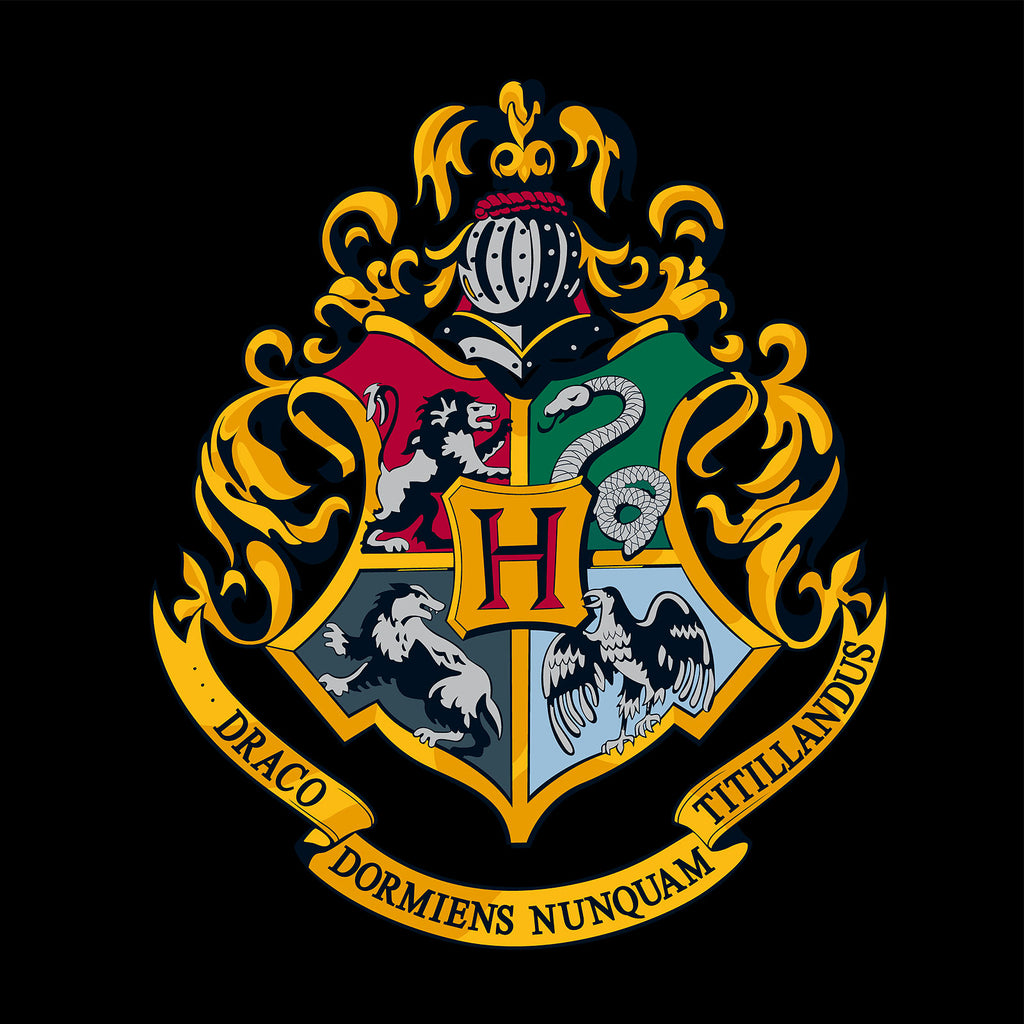 Produktbild Harry Potter - Hogwarts Hoodie svart