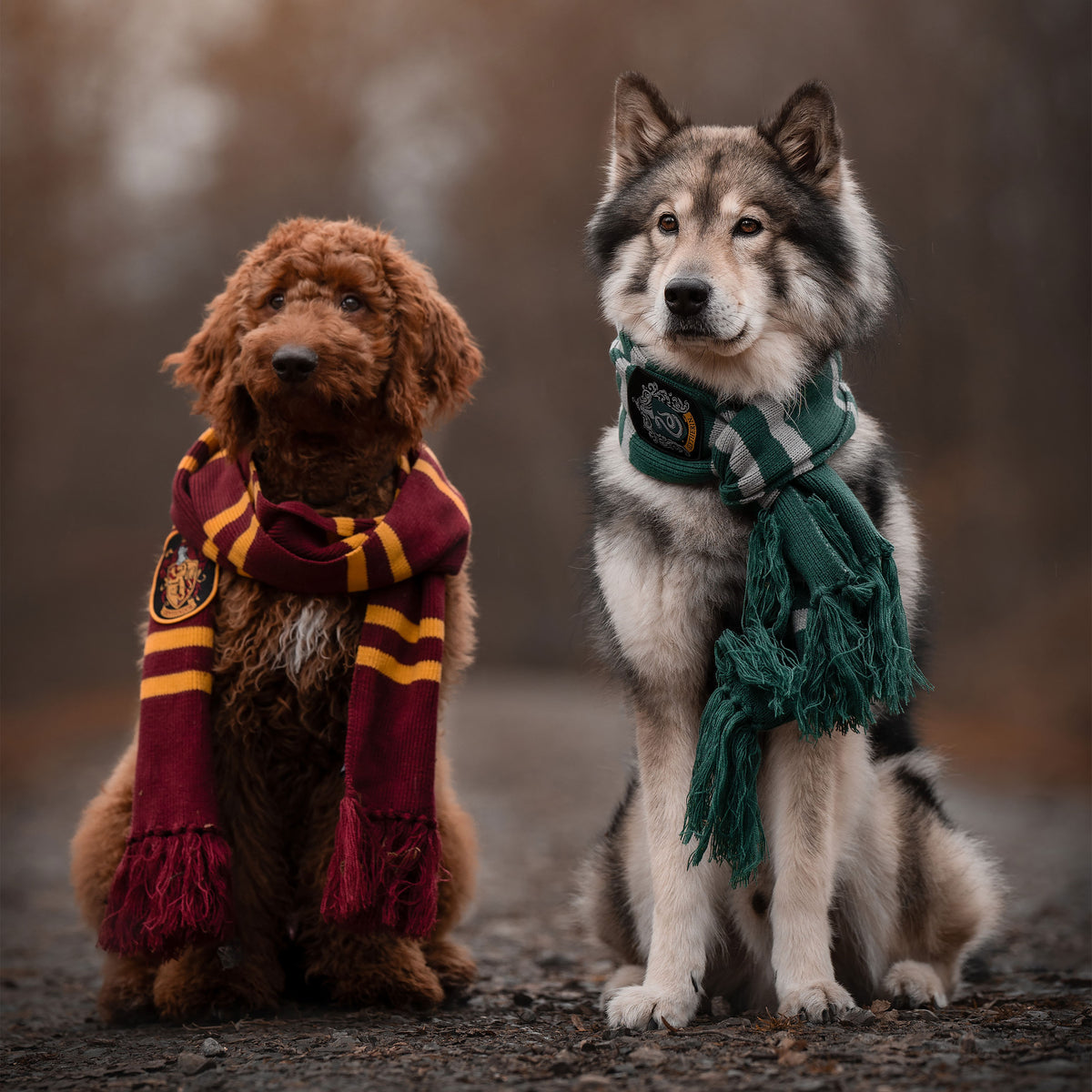 Produktbild Harry Potter - Gryffindor stickad halsduk gul-röd