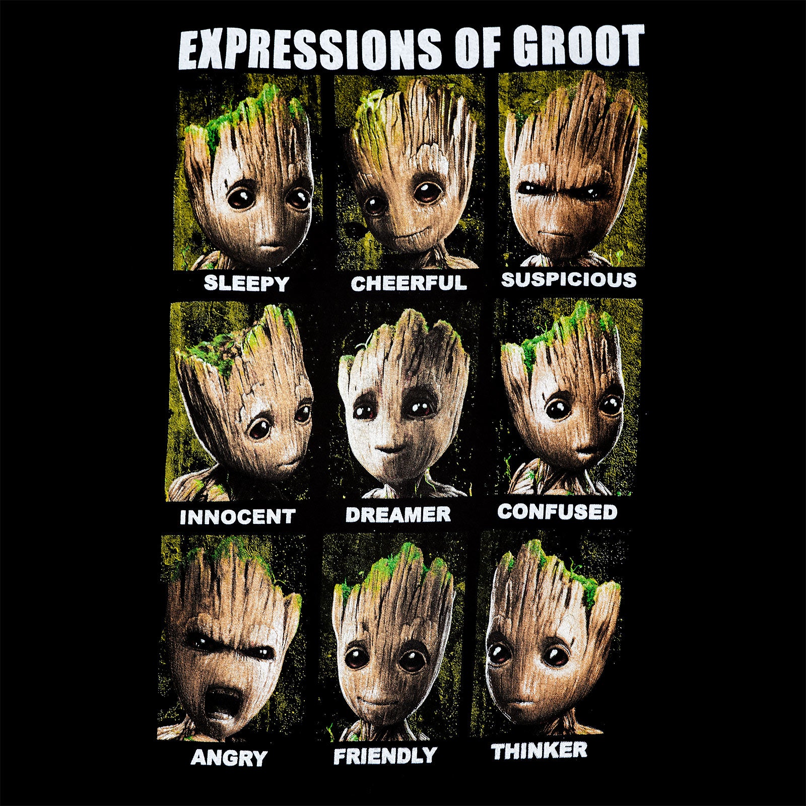 Produktbild Guardians of the Galaxy - Groot Expressions Linne svart