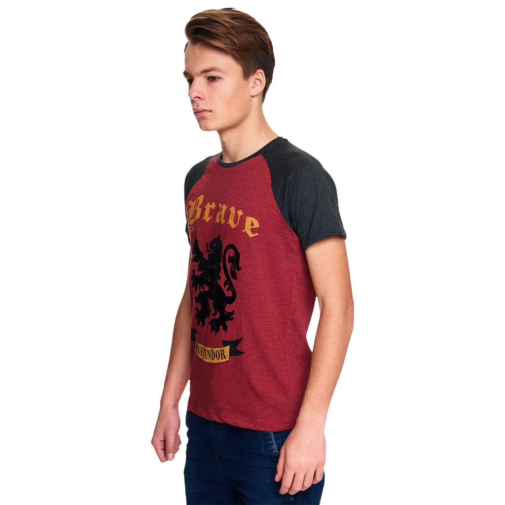 Produktbild Harry Potter - Modiga Gryffindor T-shirt röd