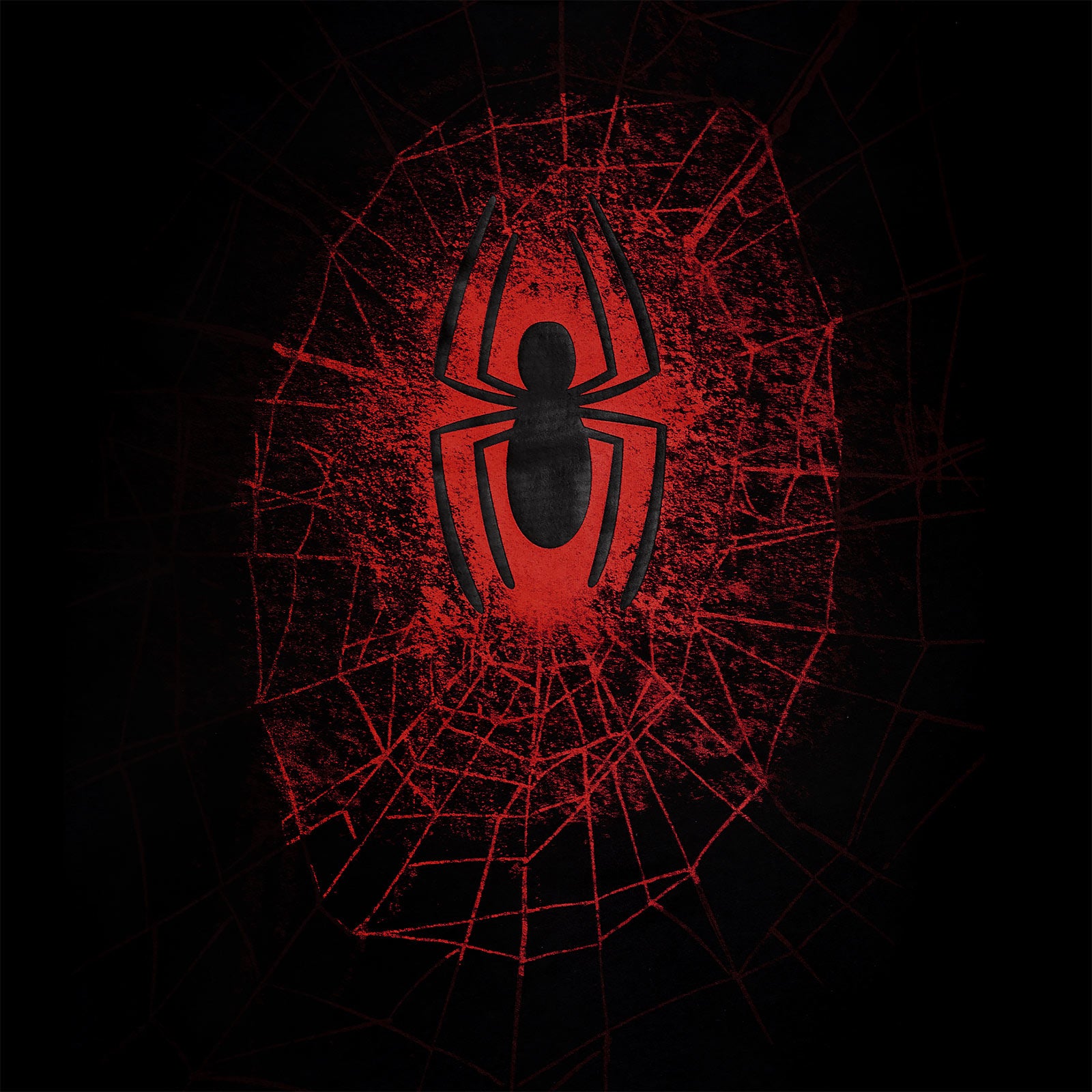 Produktbild Spider-Man - Svart Spider Web T-shirt