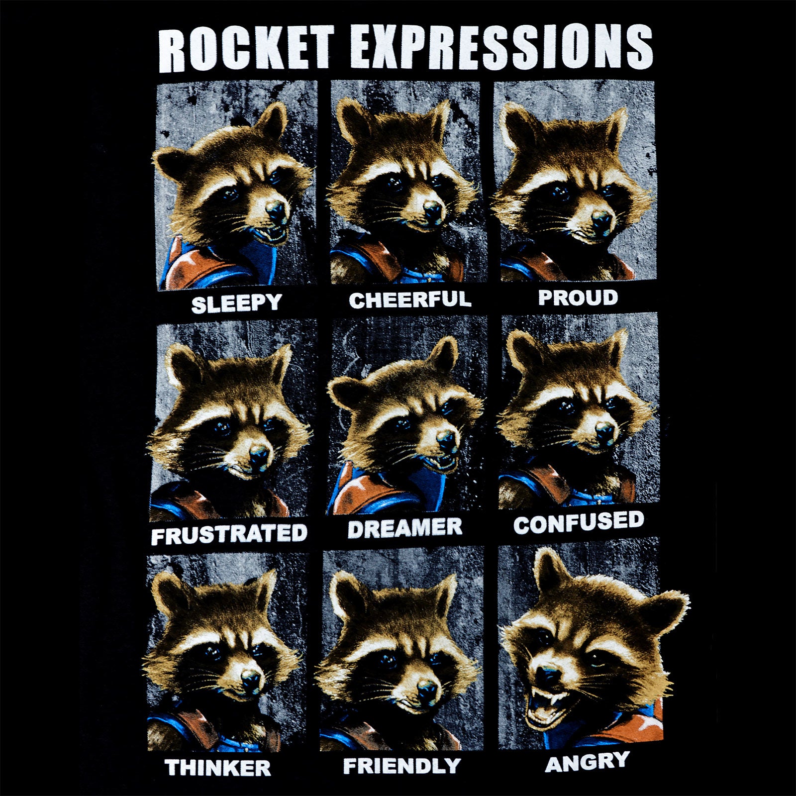 Produktbild Guardians of the Galaxy - Rocket Expressions T-shirt svart