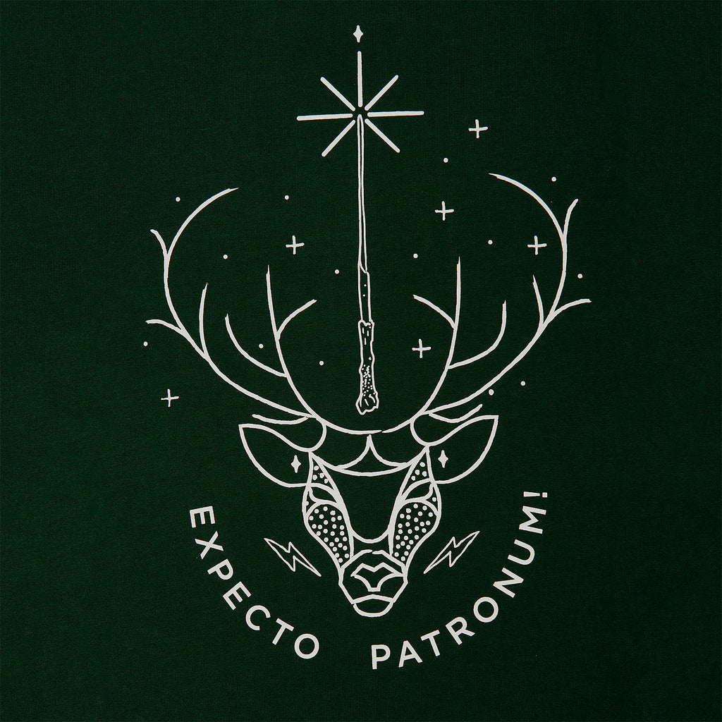 Produktbild Harry Potter - Expecto Patronum T-shirt grön