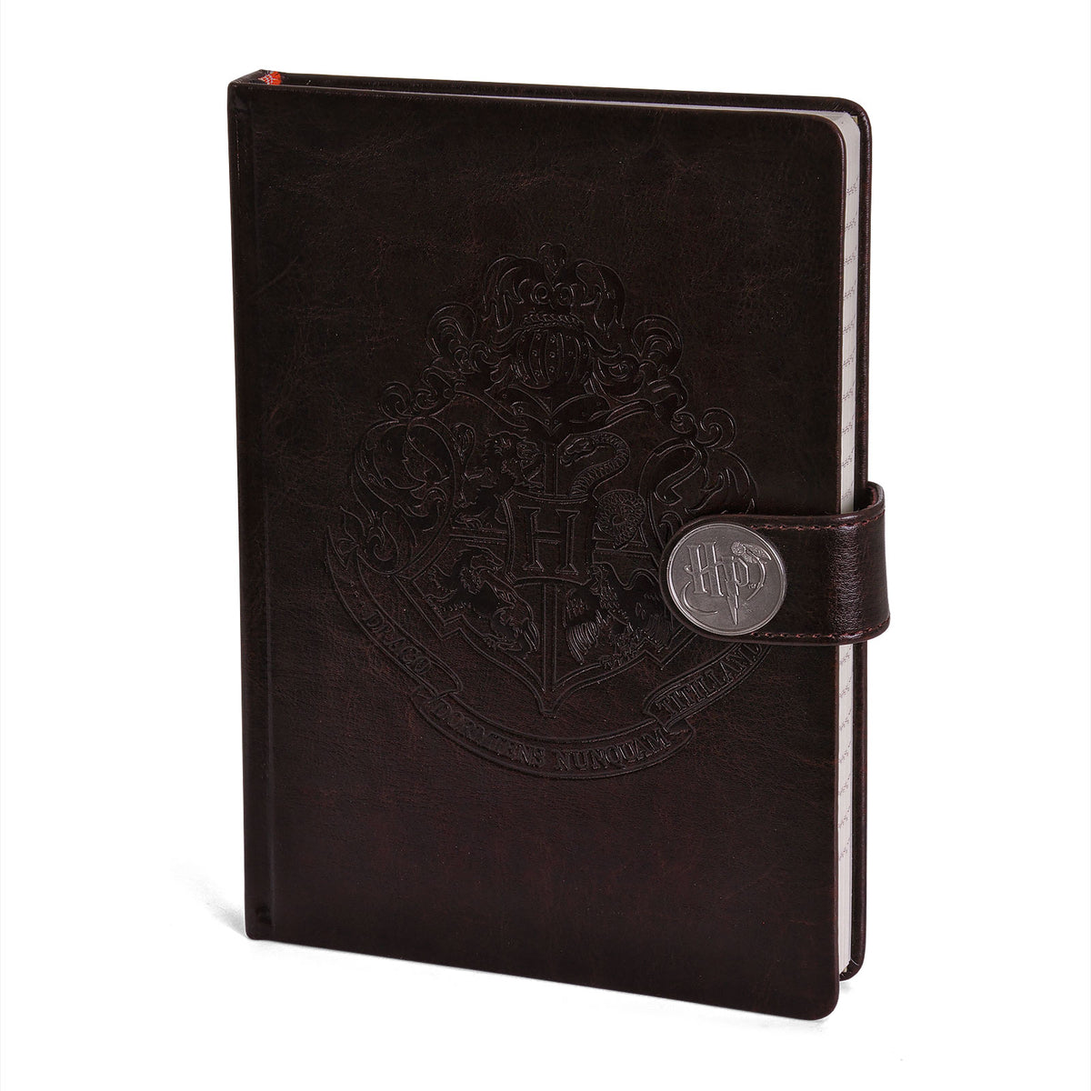 Produktbild Harry Potter - Hogwarts Premium Anteckningsbok A5