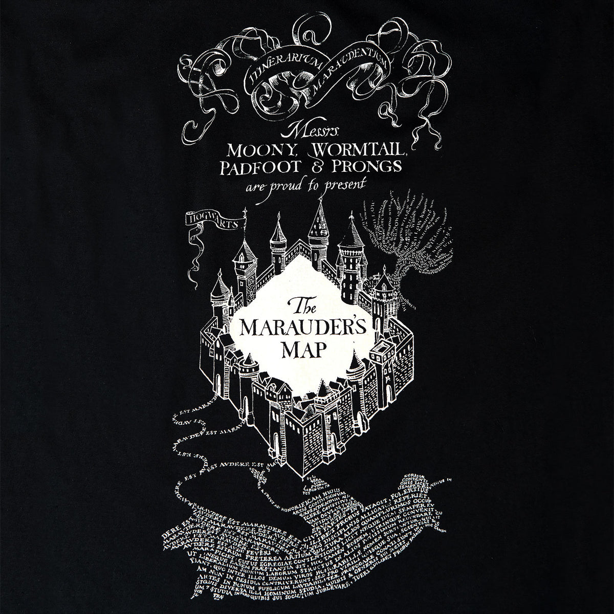 Produktbild Harry Potter - Svart T-shirt med Marodörernas Karta