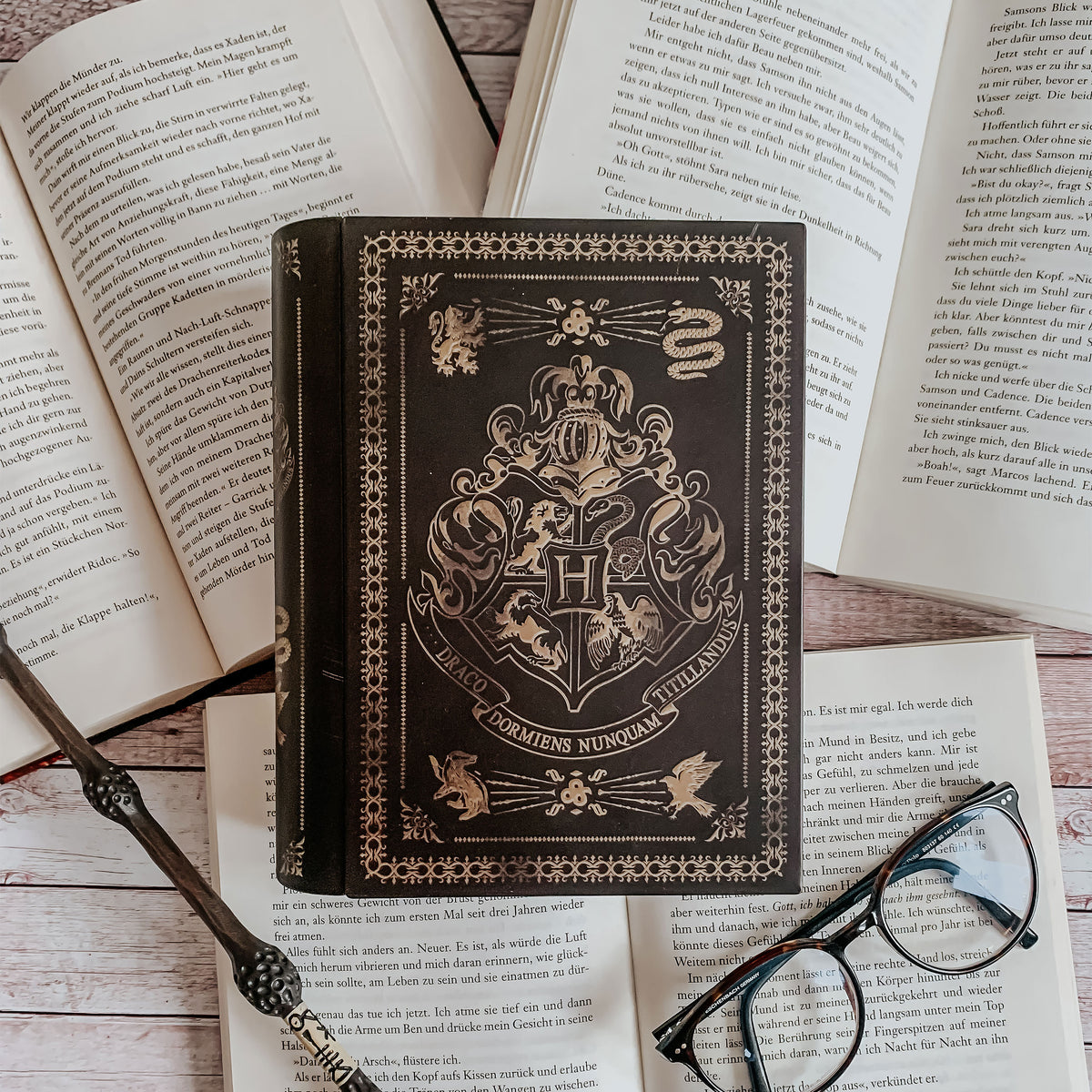 Produktbild Harry Potter - Hogwarts Trollformelboks Sparbössa