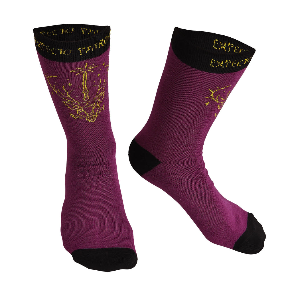 Produktbild Harry Potter - Expecto Patronum Strumpor Dam