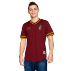 Produktbild Harry Potter - Quidditch Team Gryffindor T-Shirt