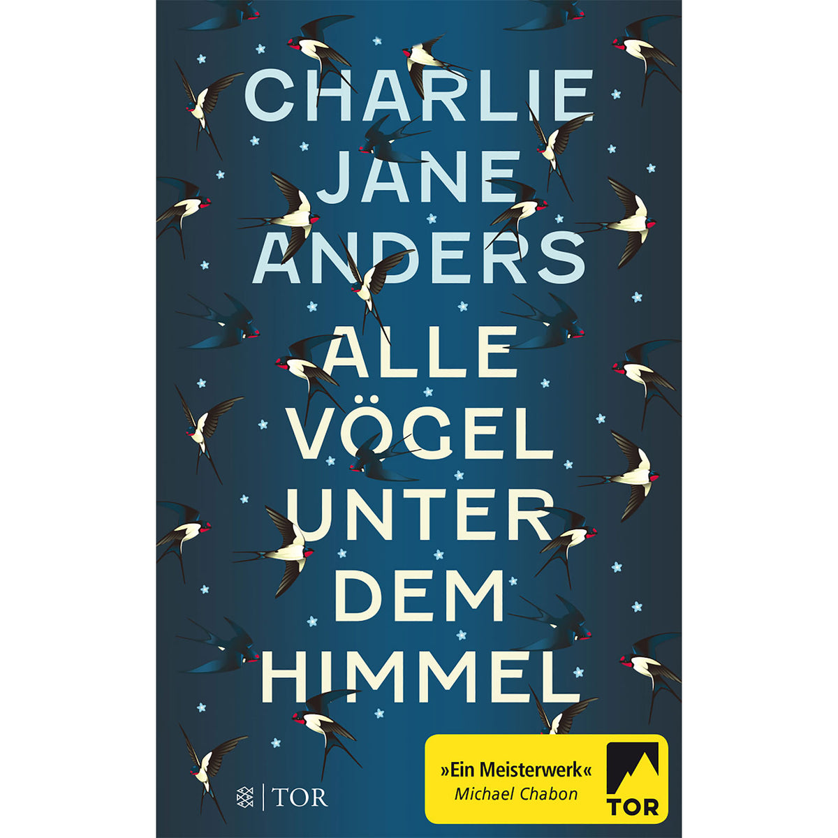 Produktbild Alla fåglar under himlen - pocketbok