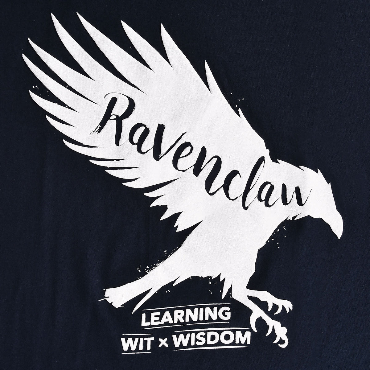 Produktbild Harry Potter - Ravenclaw House Pride T-Shirt blå