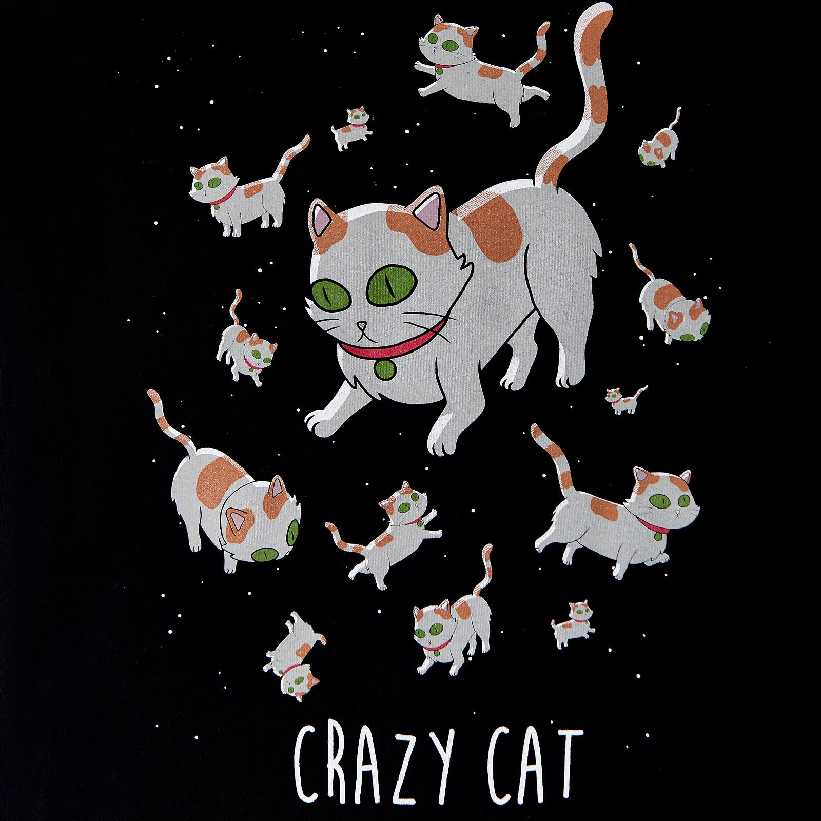 Produktbild Rick and Morty - Crazy Cat T-Shirt dam svart
