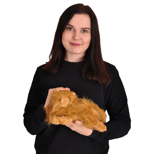 Produktbild Harry Potter - Krumben Plyschfigur 25 cm