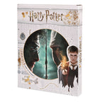 Produktbild Harry Potter - Harry vs. Voldemort Väggbild med ljus