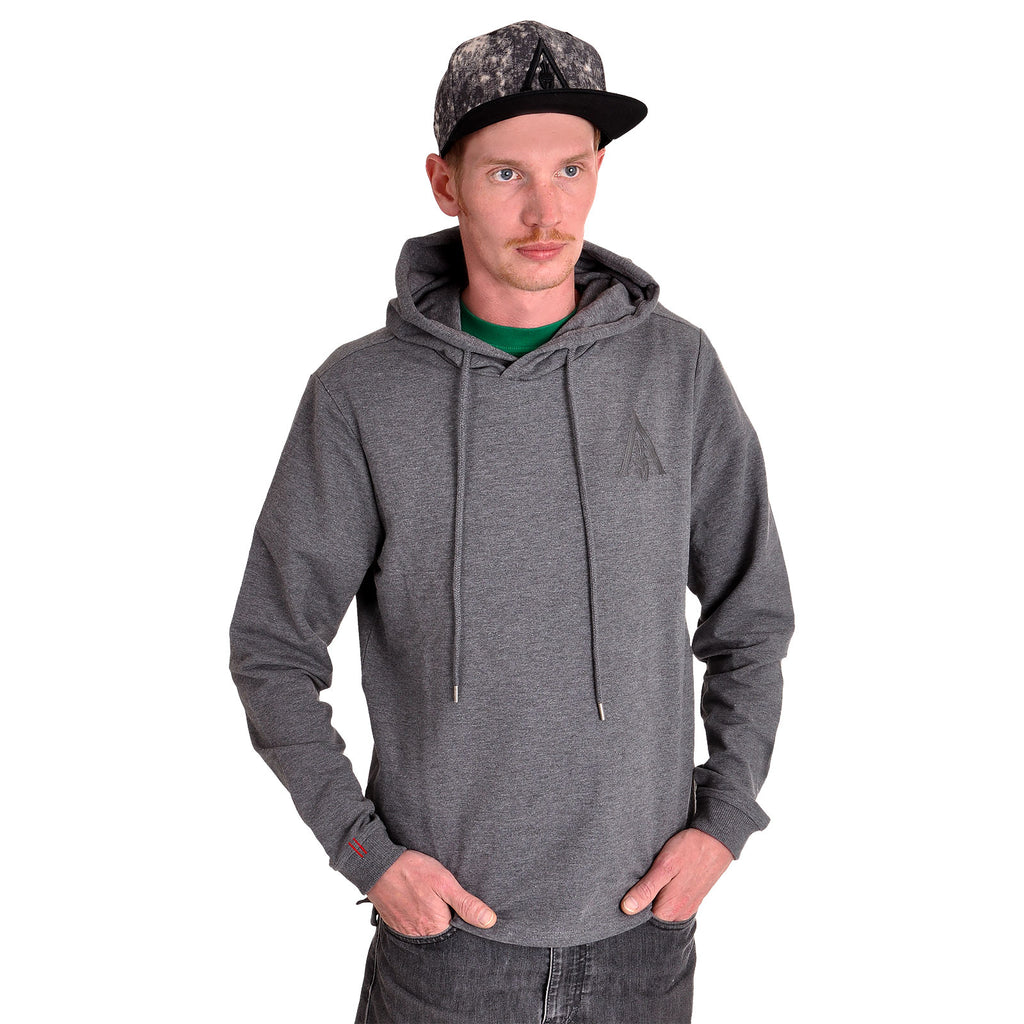 Produktbild Assassins Creed - Odyssey Logo Hoodie grå