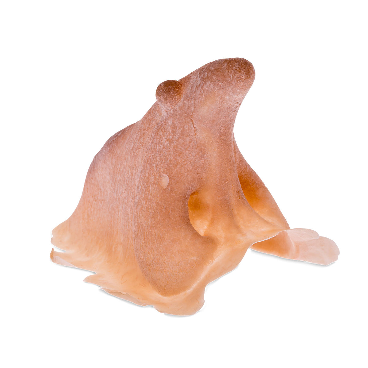 Produktbild Häxnäsa av latex