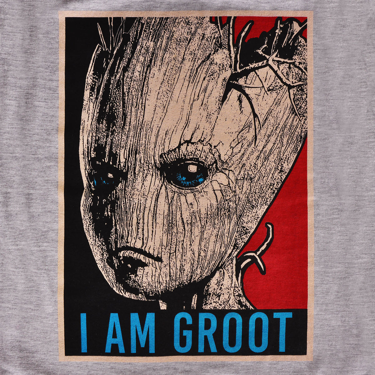 Produktbild Guardians of the Galaxy - I Am Groot T-shirt dam grå