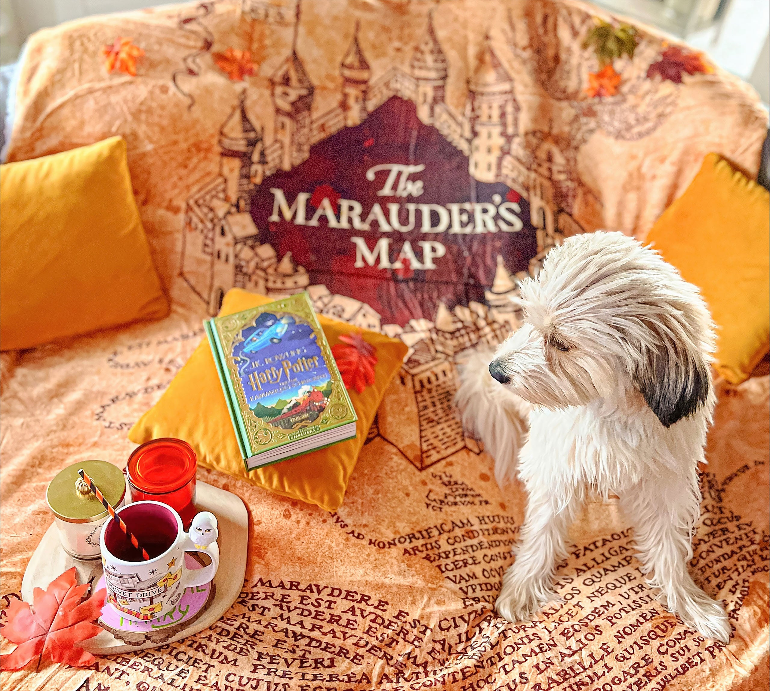 Produktbild Harry Potter - Mysfilt med Marauders Map-motiv och teddyfoder