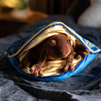 Produktbild Harry Potter - Chokladgroda Kudde med plyschfigur