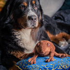 Produktbild Harry Potter - Chokladgroda Kudde med plyschfigur
