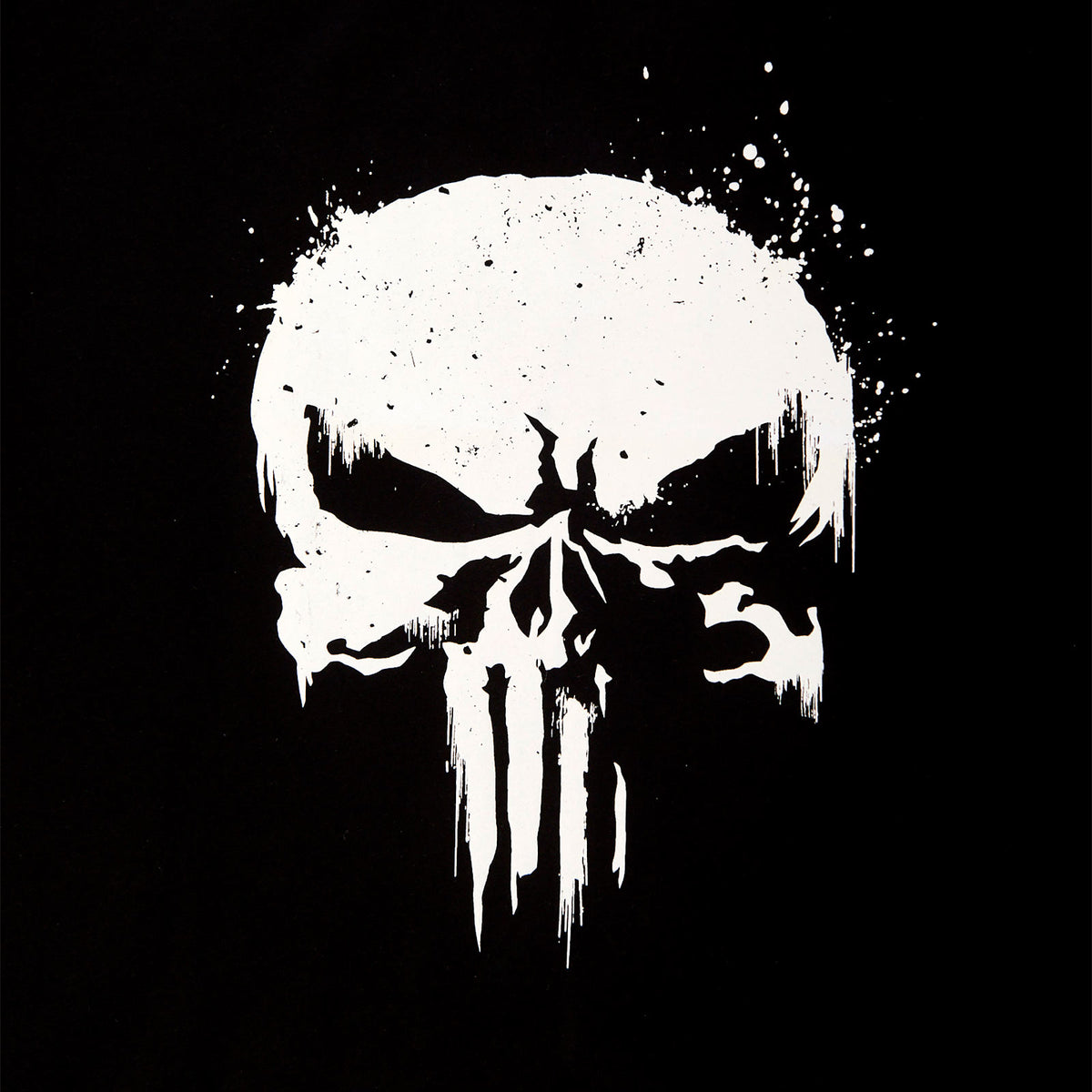 Produktbild Punisher - Skull Logo T-shirt med ärmtryck svart