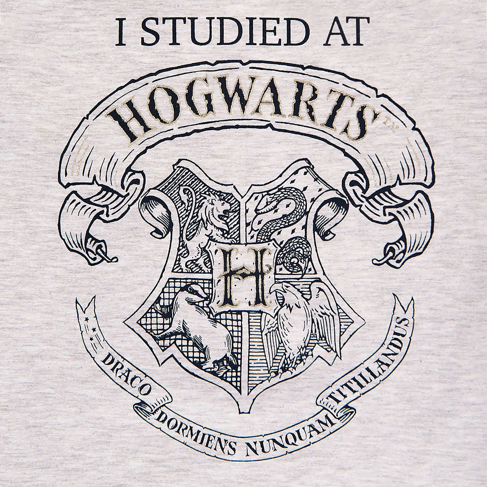 Produktbild Harry Potter - Jag studerade vid Hogwarts Barn T-shirt