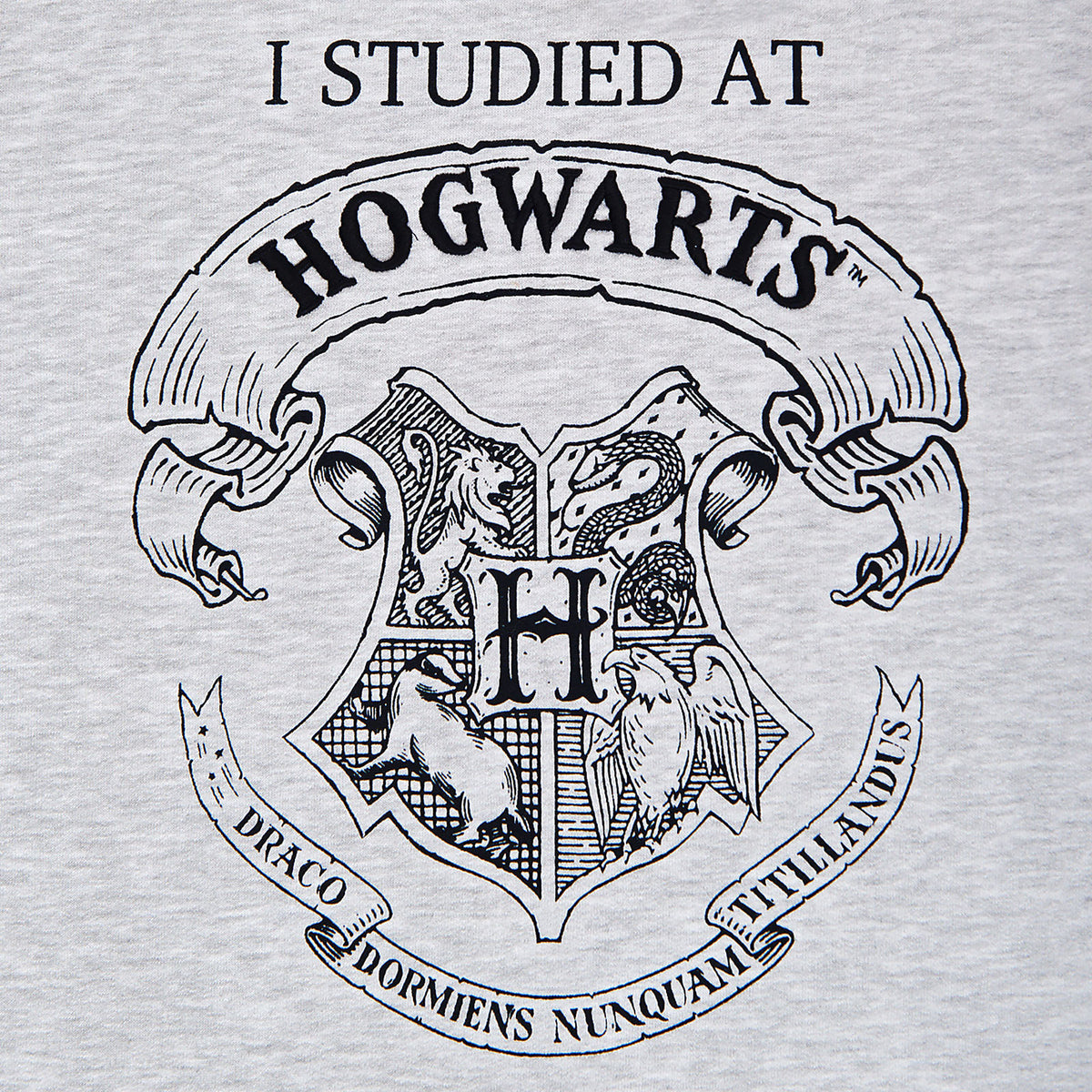 Produktbild Harry Potter - Jag studerade vid Hogwarts Damtröja grå