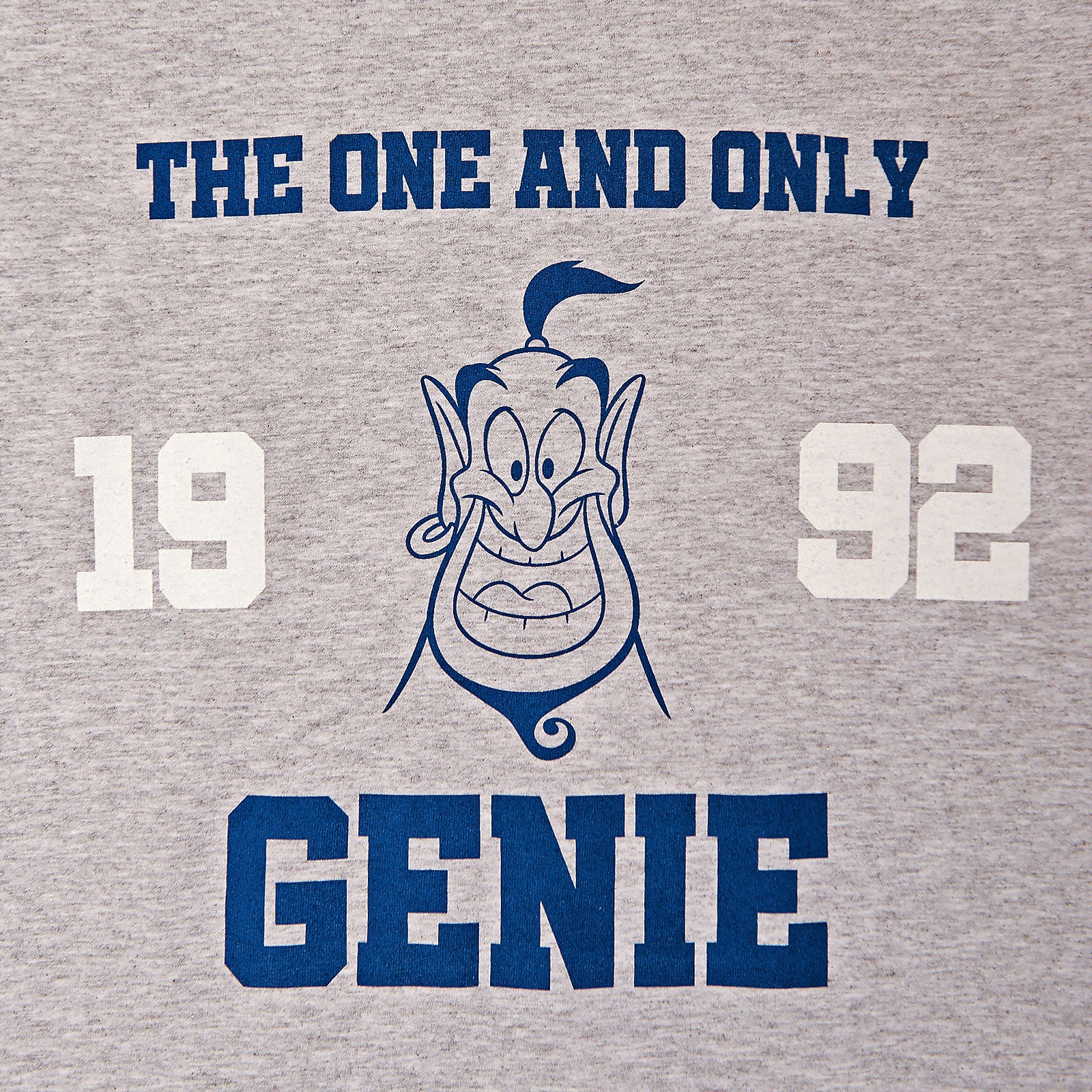 Produktbild Aladdin - Djinnt-shirt dam grå