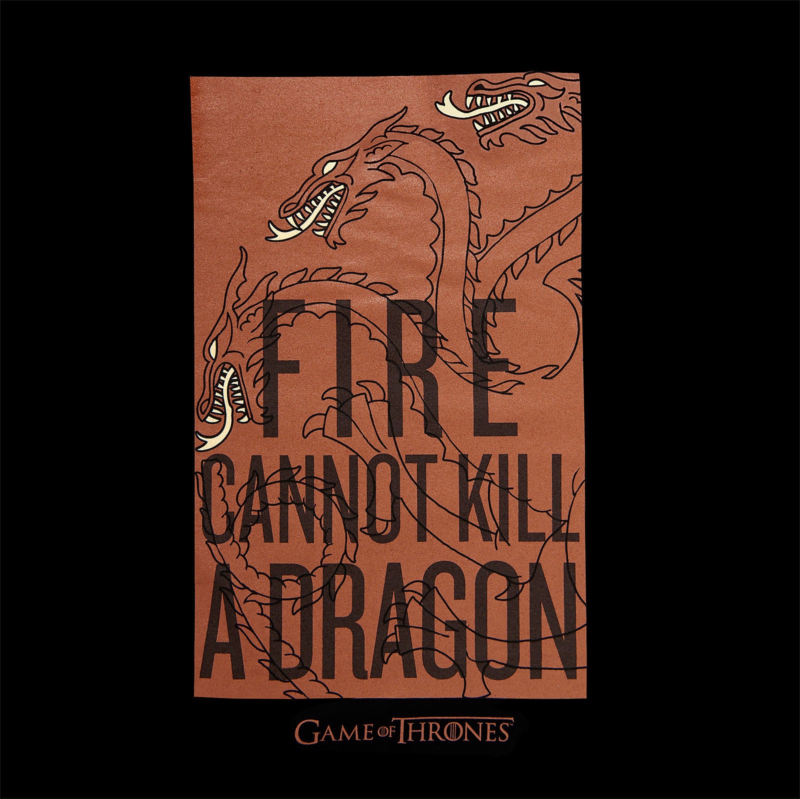 Produktbild Game of Thrones - Fire Cannot Kill a Dragon Targaryen T-shirt svart