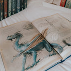 Produktbild Harry Potter och den flammande bägaren - Illustrerad utgåva