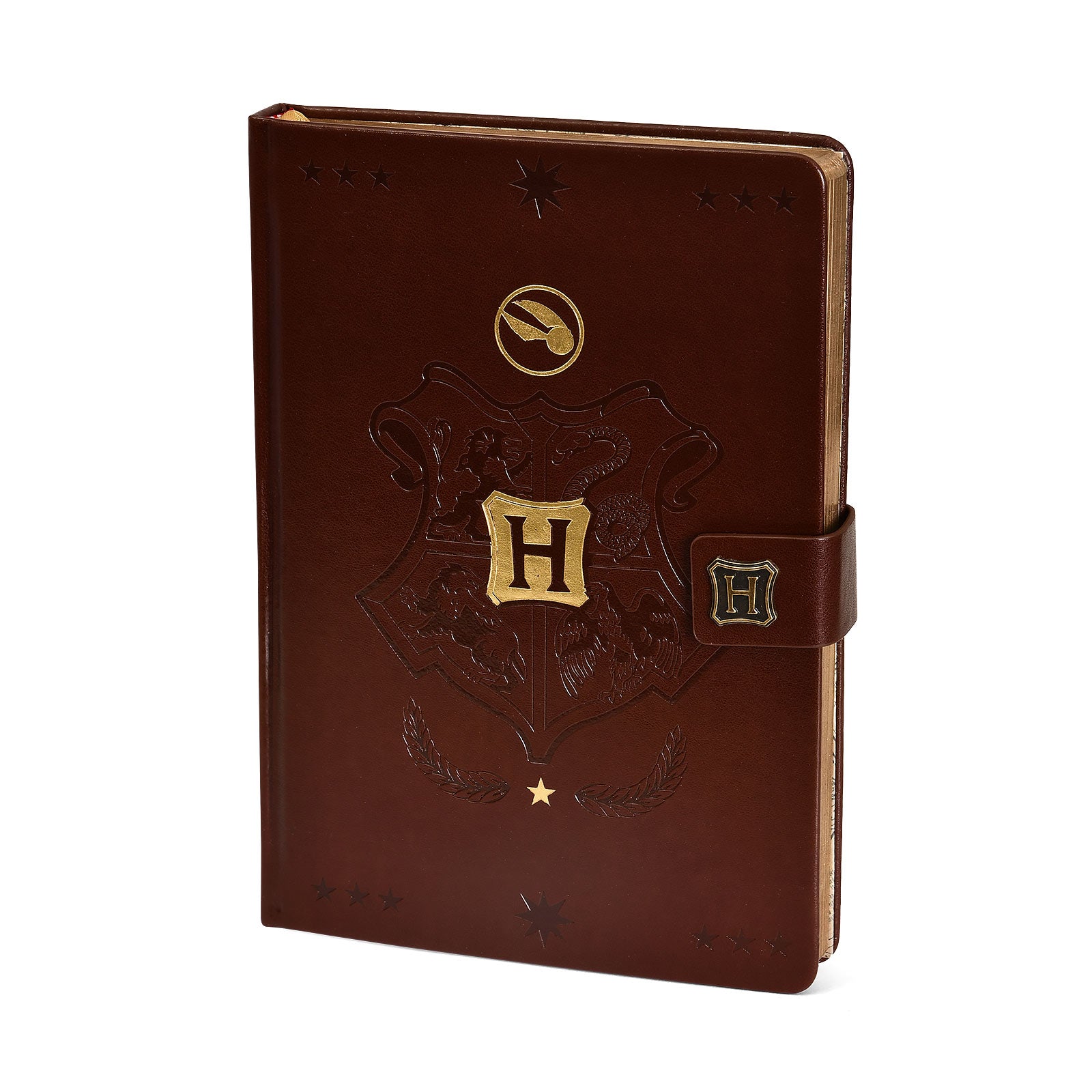 Produktbild Harry Potter - Hogwarts Quidditch Premium Anteckningsbok A5