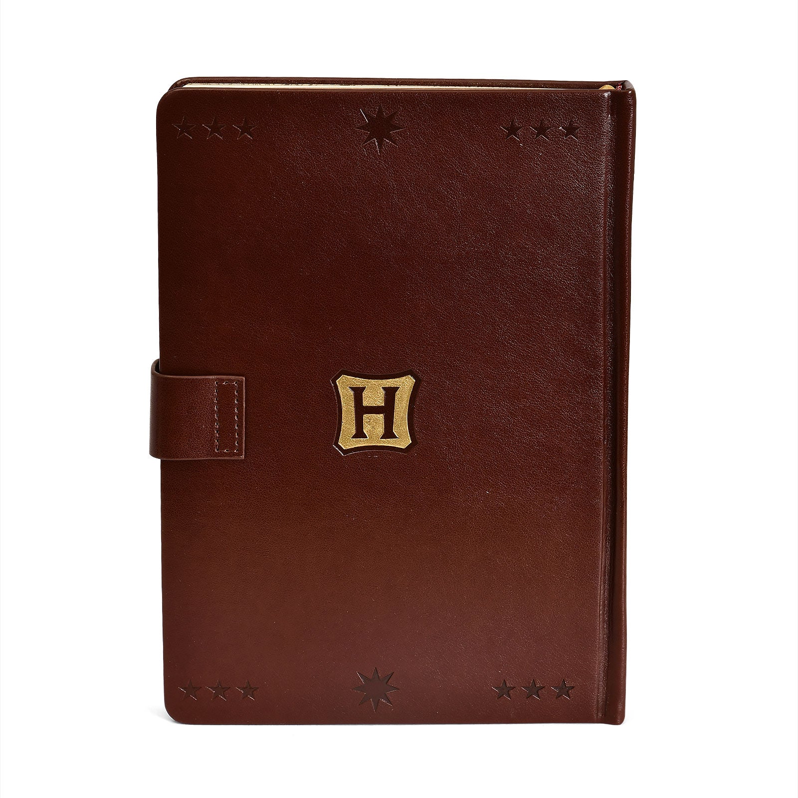 Produktbild Harry Potter - Hogwarts Quidditch Premium Anteckningsbok A5