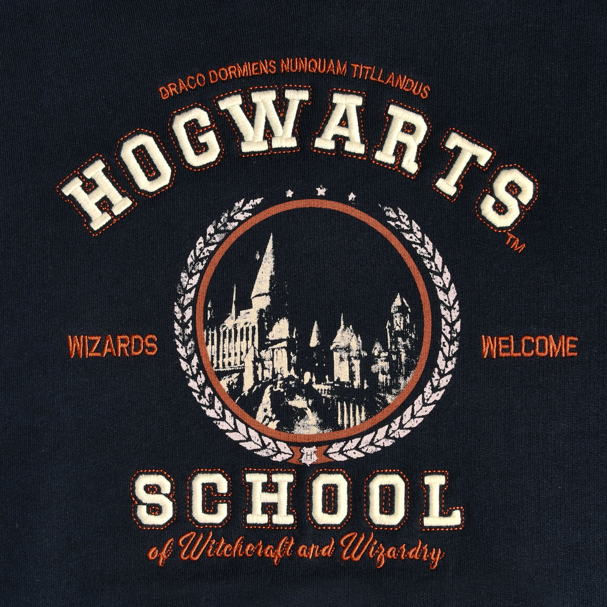 Produktbild Harry Potter - Hogwarts School Barn Hoodie Blå