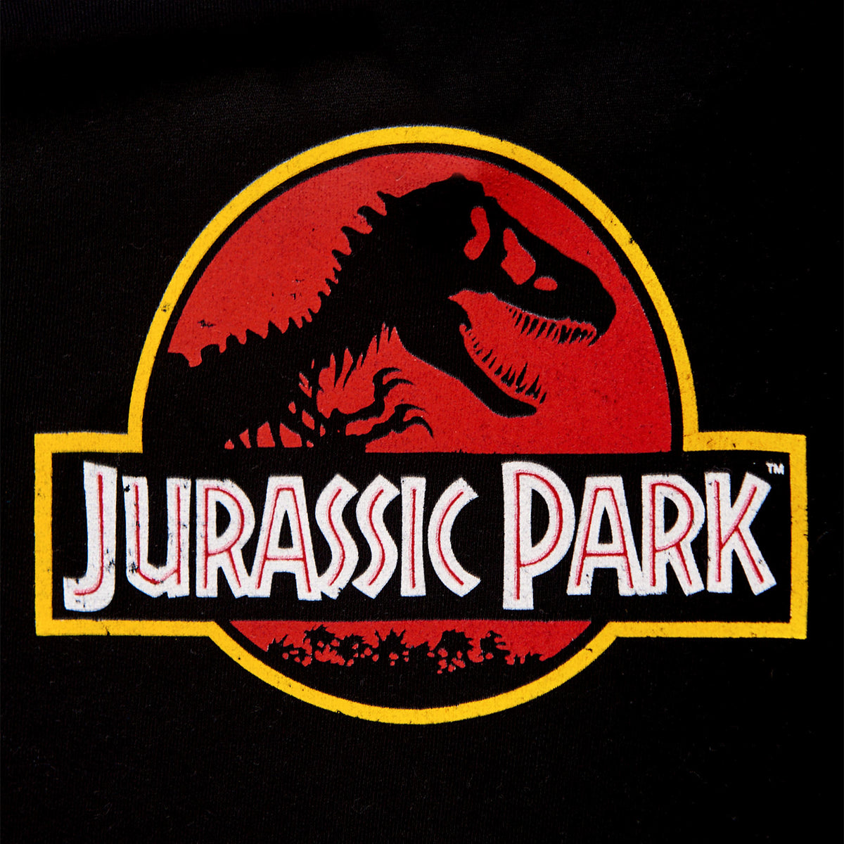 Produktbild Jurassic Park - Filmens logotyp Barn Hoodie svart