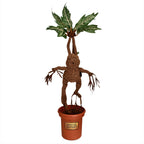 Product image Harry Potter - Mandrake Plush Figure in Pot with Sound 46 cm