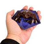 Produktbild Chokladgroda-figur med samlarkort - Harry Potter