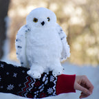 Produktbild Hedwig med öppna vingar Plyschfigur 28 cm - Harry Potter