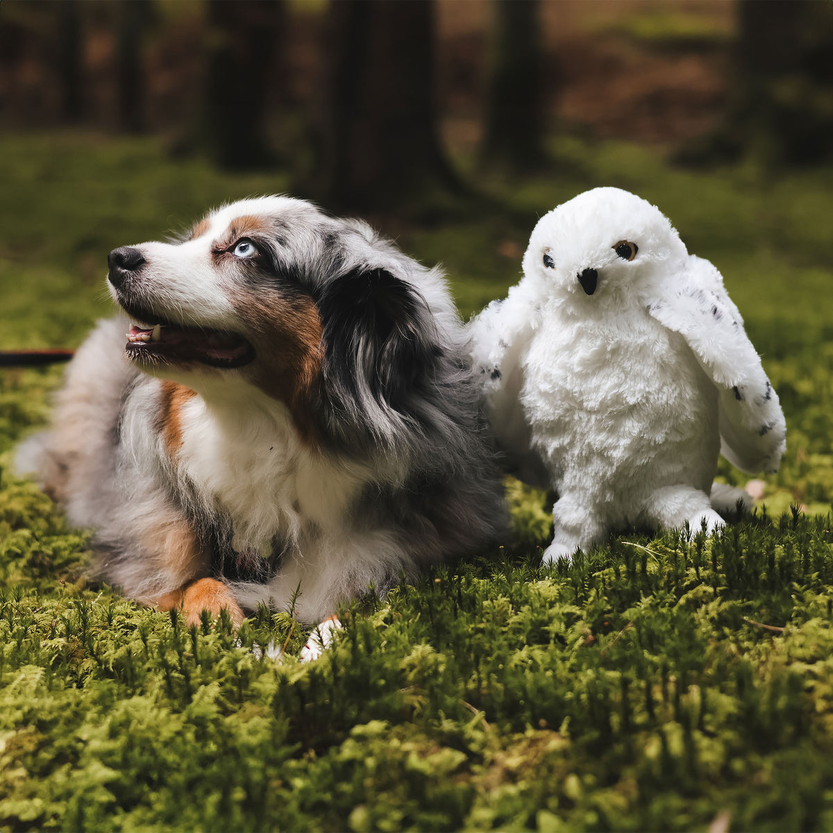 Produktbild Hedwig med öppna vingar Plyschfigur 28 cm - Harry Potter