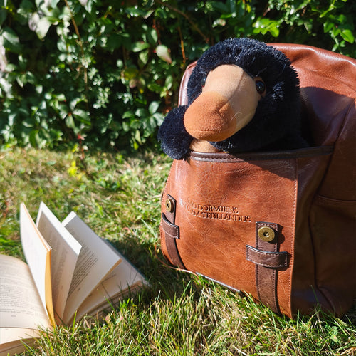 Produktbild Niffler Plyschfigur 25 cm - Fantastiska Vidunder